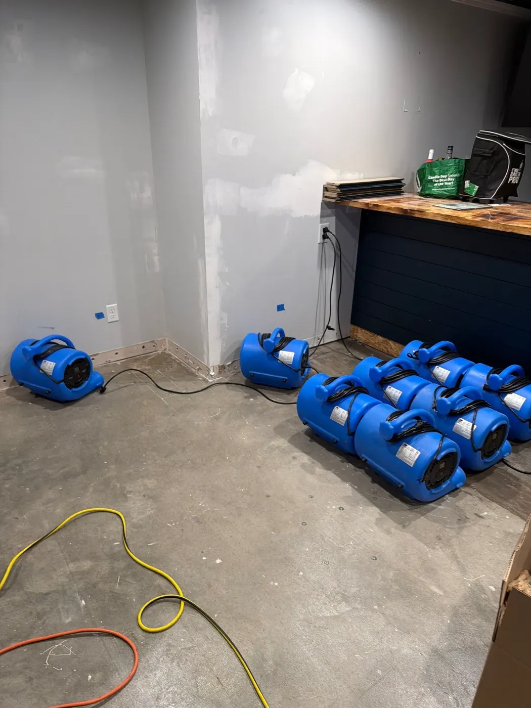 Category 3 sewage cleanup in Geist basement