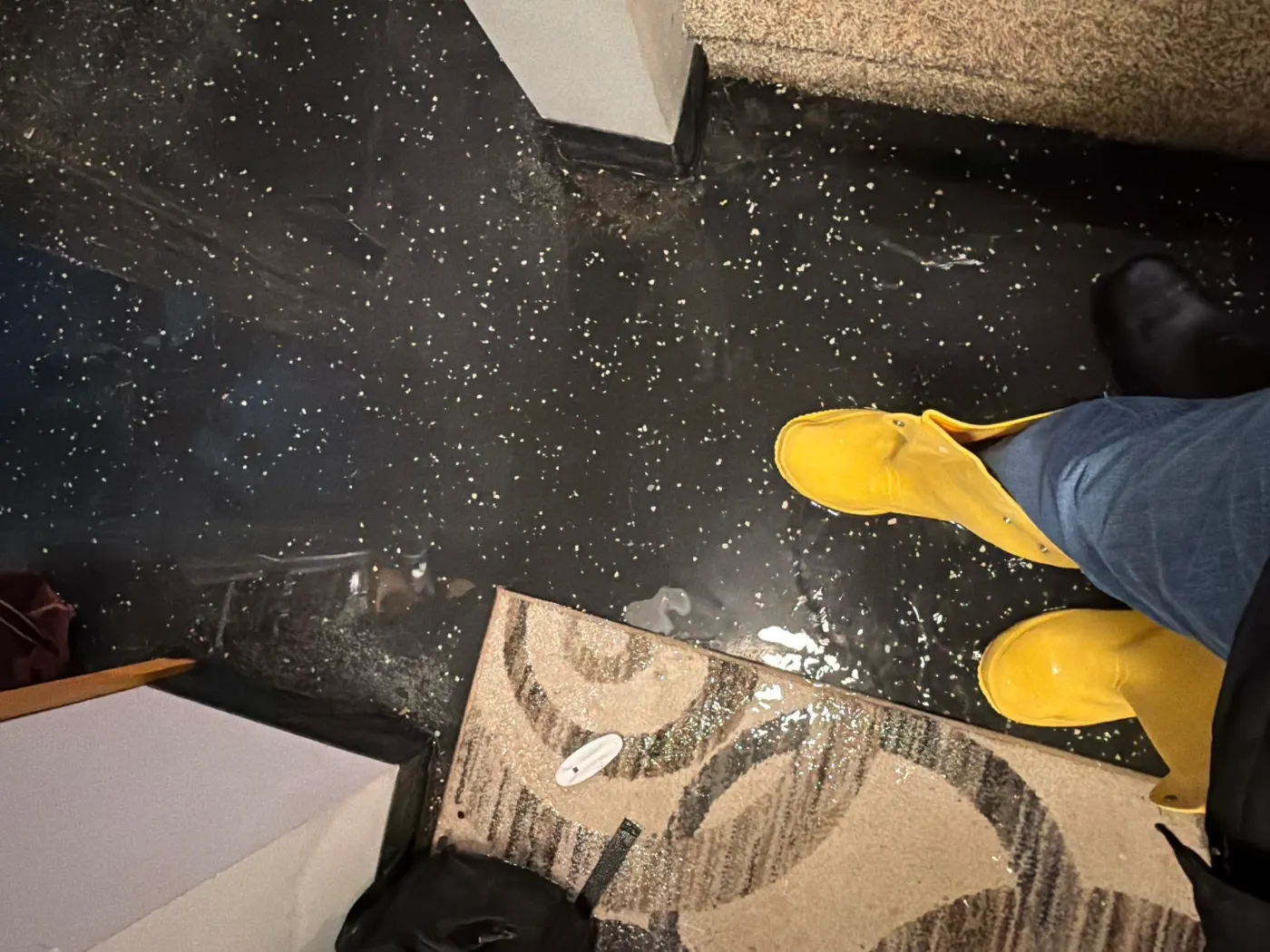 Moisture meter reading on drywall in Geist water loss